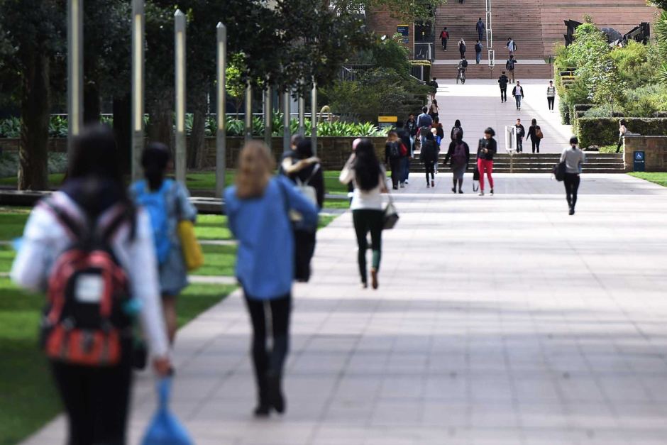 Students at the University of New South Wales walking in the campus.